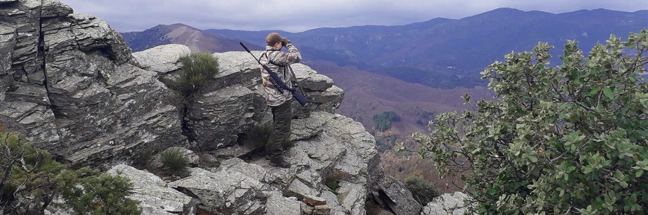 The good, the bad and the mouflon
