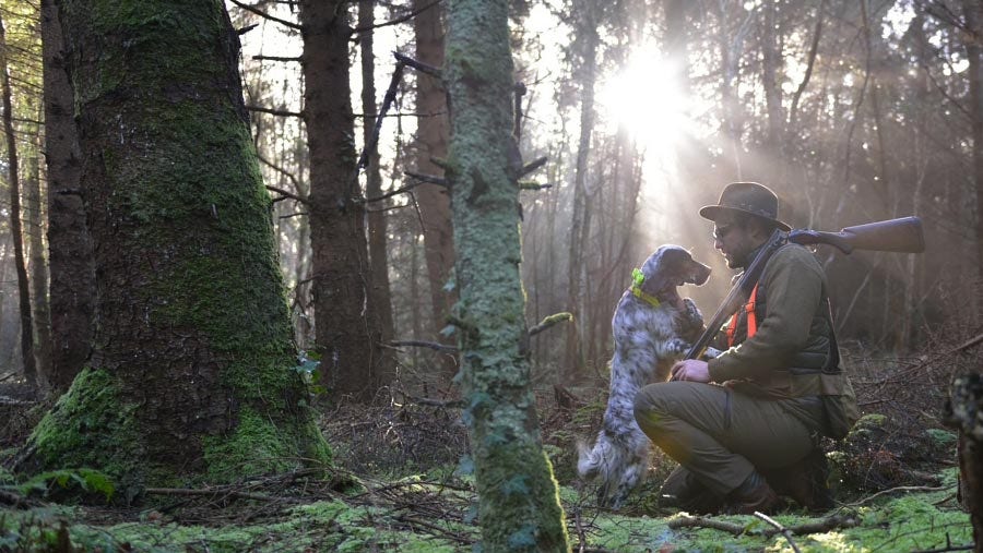 Choosing The Right Gun Dog