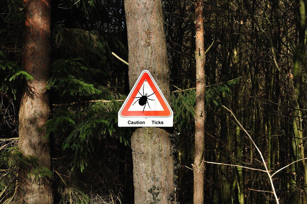 Lyme’s Disease – Be Tick Aware!