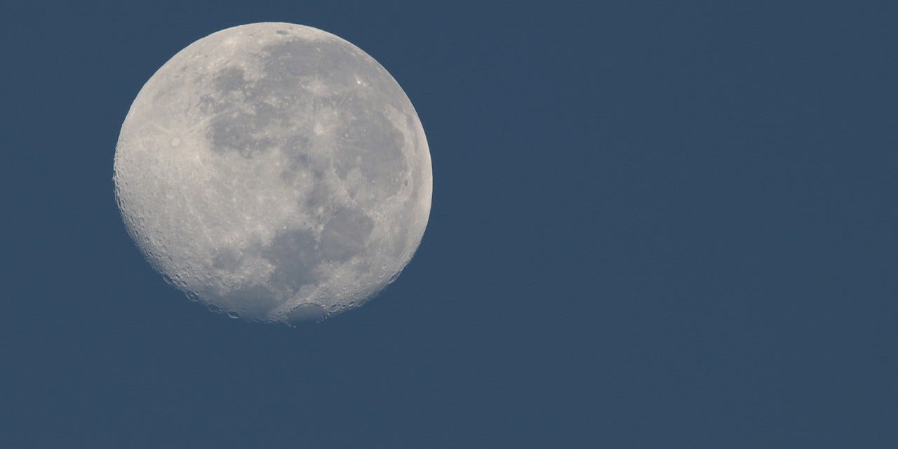 The effect the phases of the moon have on roedeer hunting